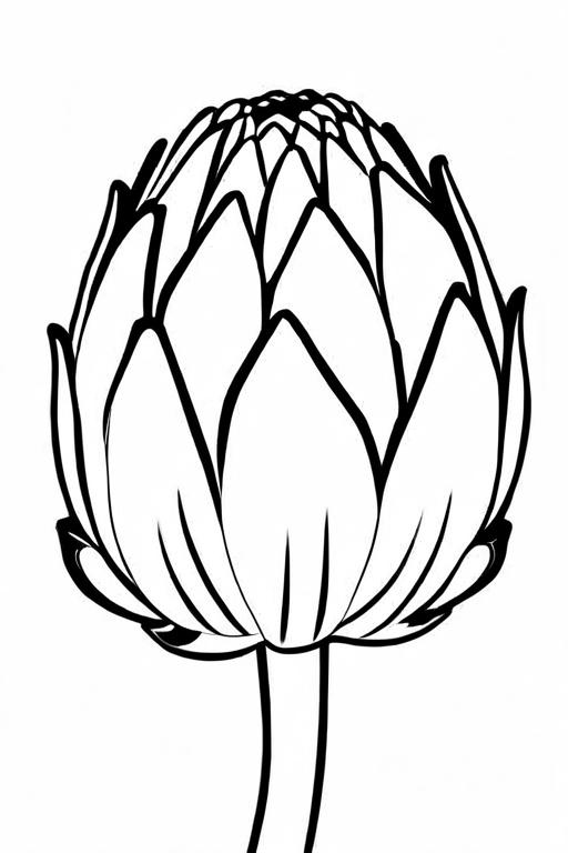 Artichoke Coloring Page 20 for Kids