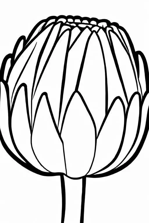 Artichoke Coloring Page 38 for Kids