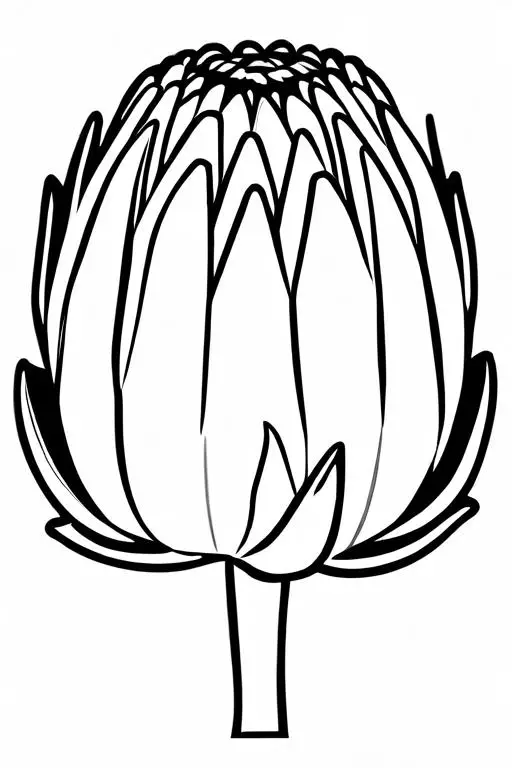 Artichoke Coloring Page 46 for Kids