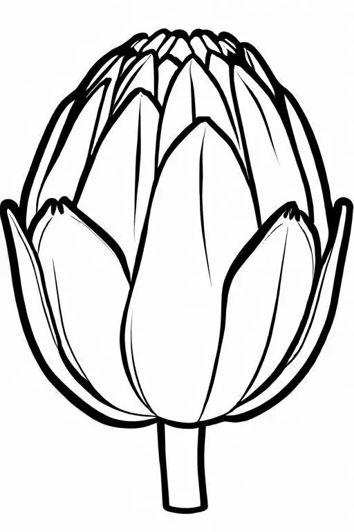 Artichoke Coloring Page 48 for Kids