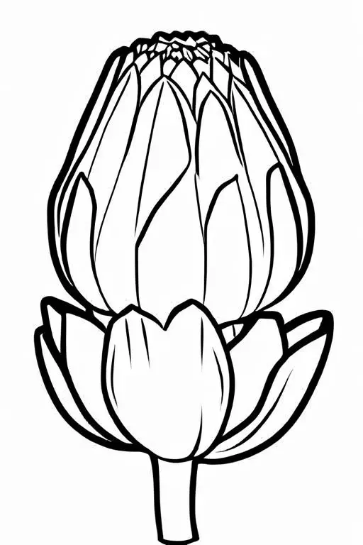 Artichoke Coloring Page 57 for Kids