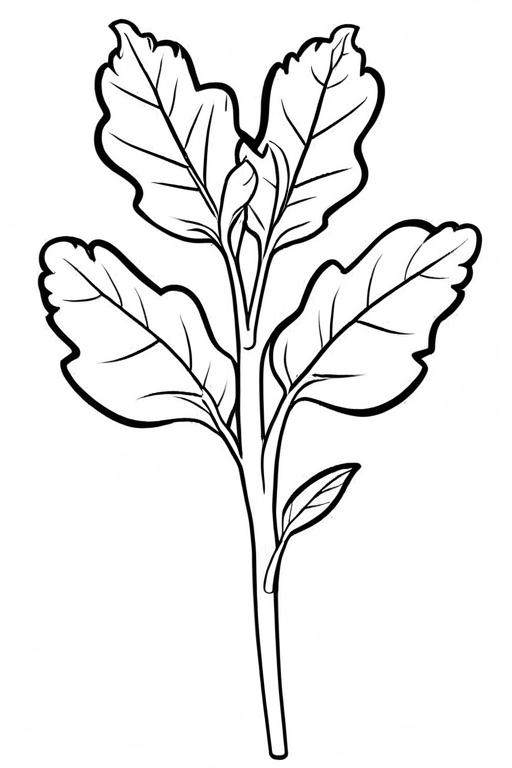 Arugula Coloring Page 1 for Kids