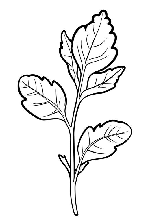 Arugula Coloring Page 10 for Kids