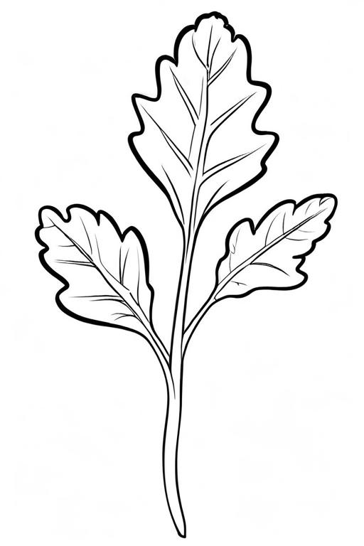 Arugula Coloring Page 11 for Kids