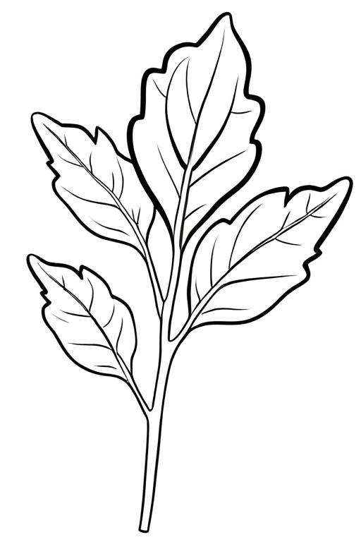 Arugula Coloring Page 12 for Kids