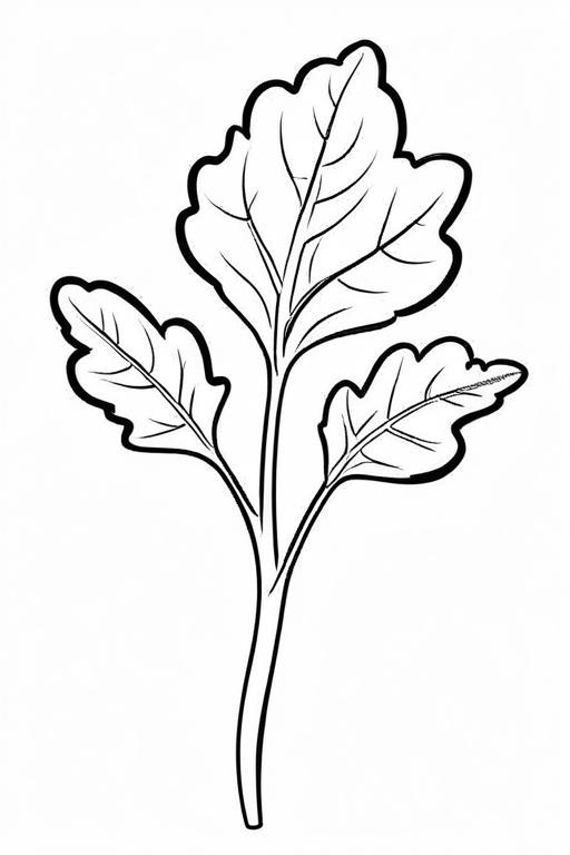 Arugula Coloring Page 13 for Kids