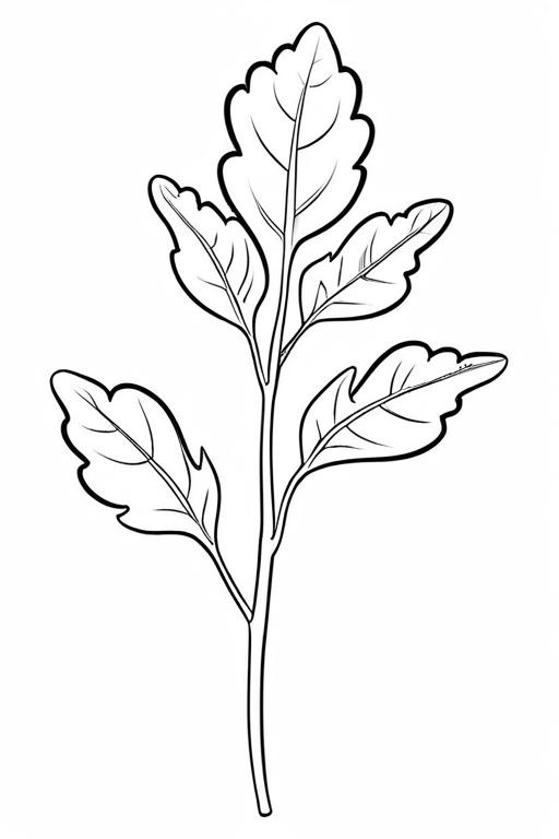 Arugula Coloring Page 14 for Kids