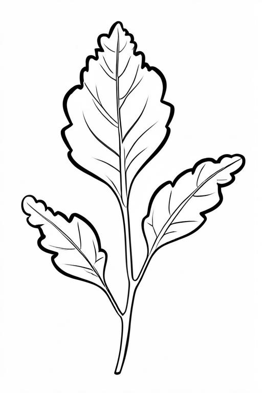 Arugula Coloring Page 15 for Kids