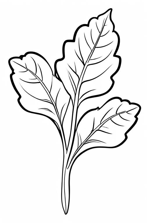 Arugula Coloring Page 17 for Kids