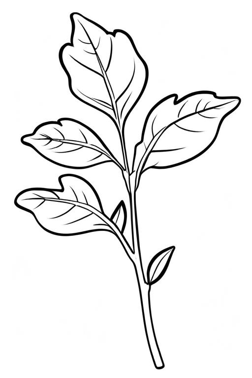 Arugula Coloring Page 18 for Kids