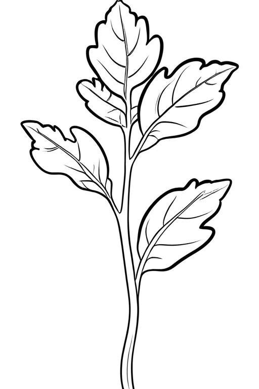 Arugula Coloring Page 19 for Kids