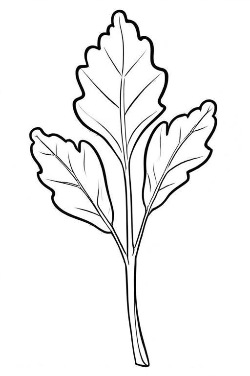 Arugula Coloring Page 2 for Kids