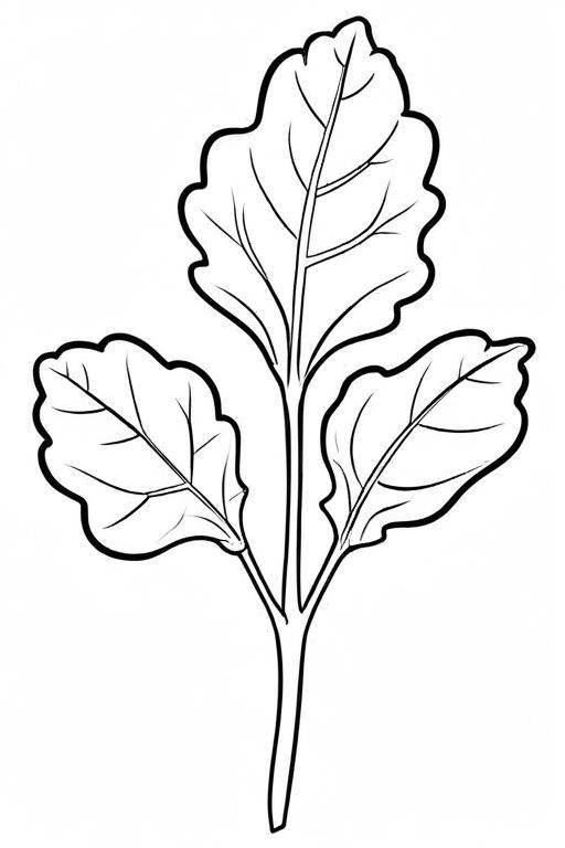 Arugula Coloring Page 21 for Kids