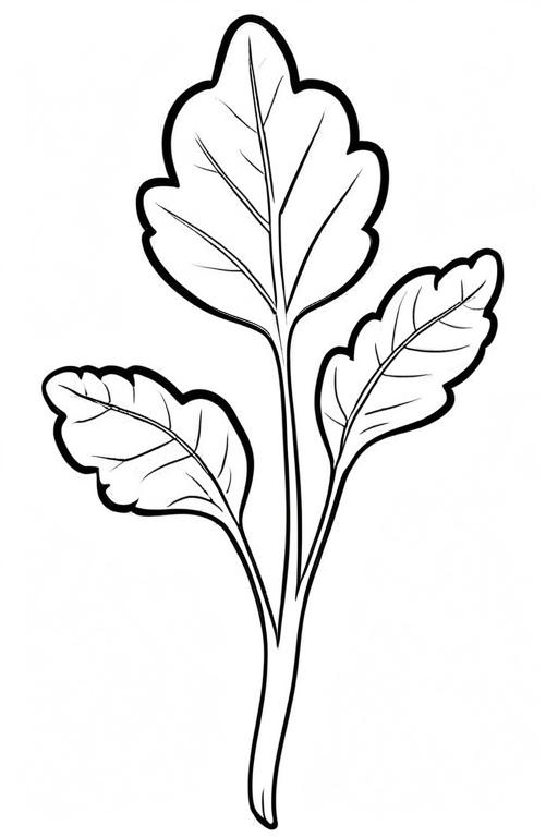 Arugula Coloring Page 22 for Kids