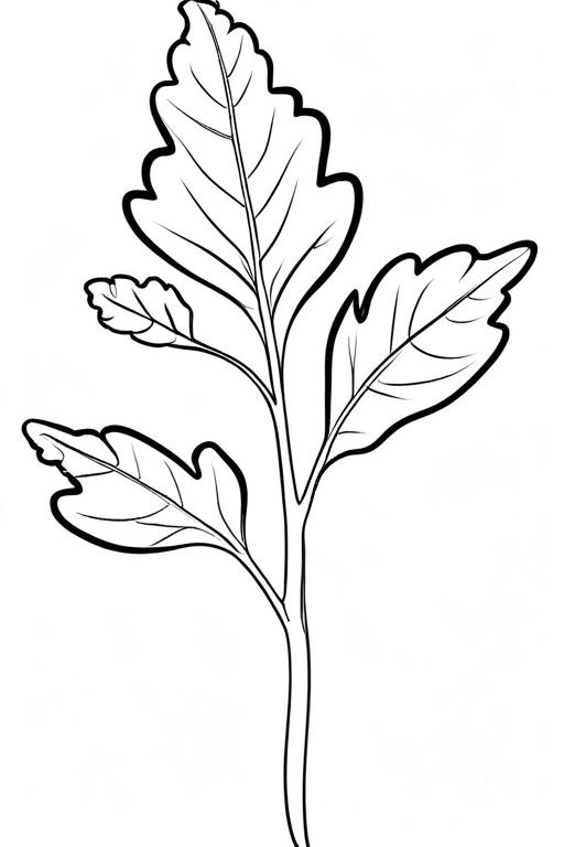 Arugula Coloring Page 23 for Kids