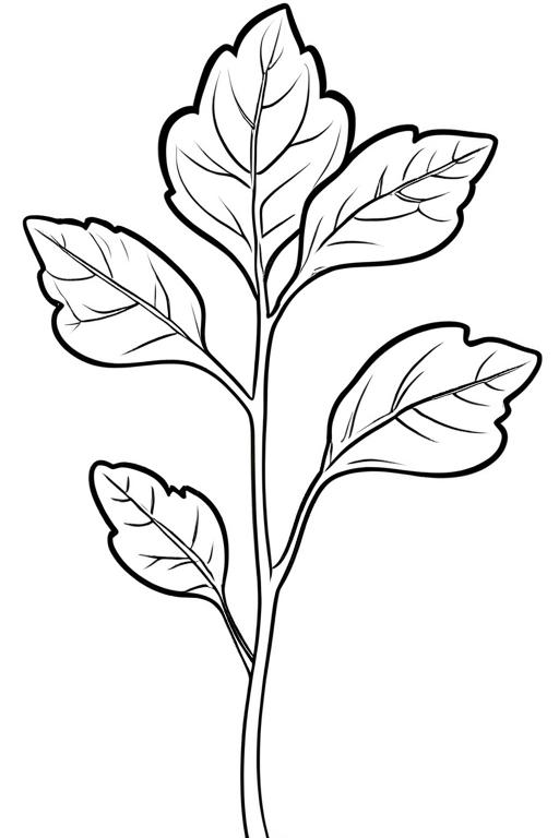 Arugula Coloring Page 24 for Kids