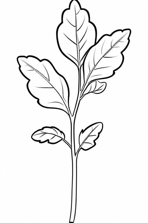 Arugula Coloring Page 25 for Kids