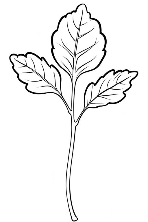 Arugula Coloring Page 26 for Kids