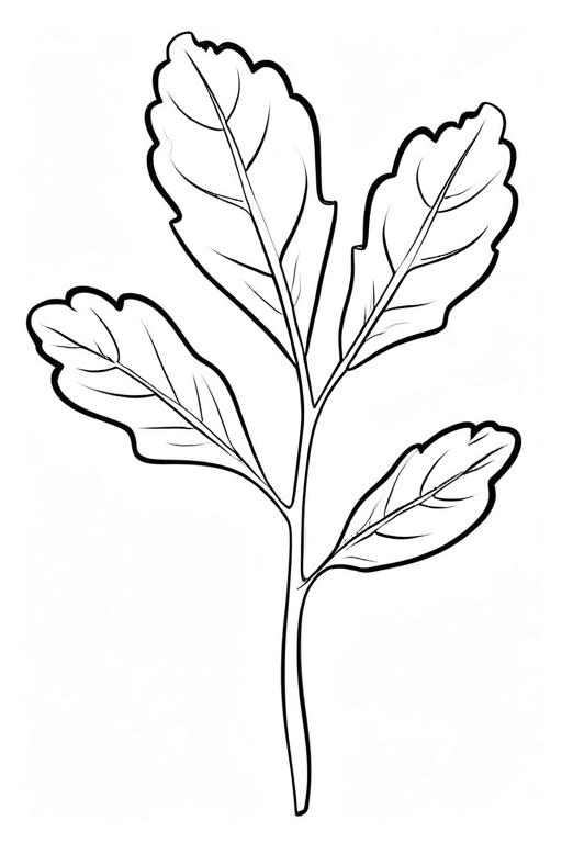 Arugula Coloring Page 27 for Kids