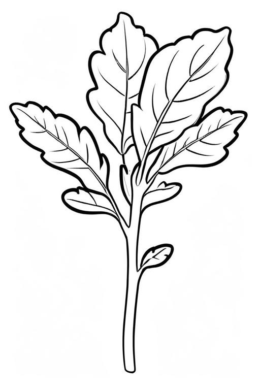 Arugula Coloring Page 29 for Kids