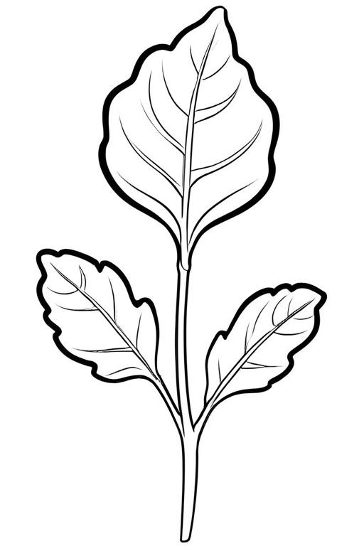 Arugula Coloring Page 3 for Kids