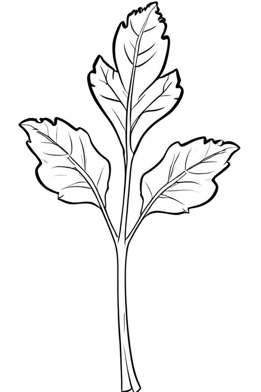 Arugula Coloring Page 30 for Kids