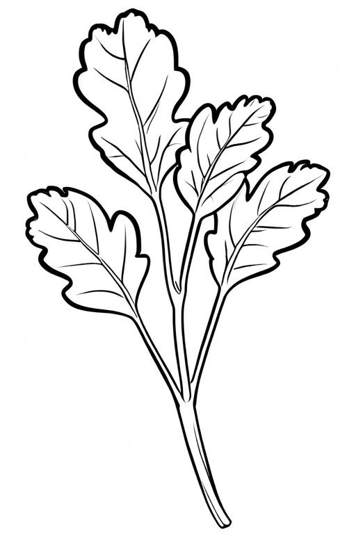 Arugula Coloring Page 31 for Kids