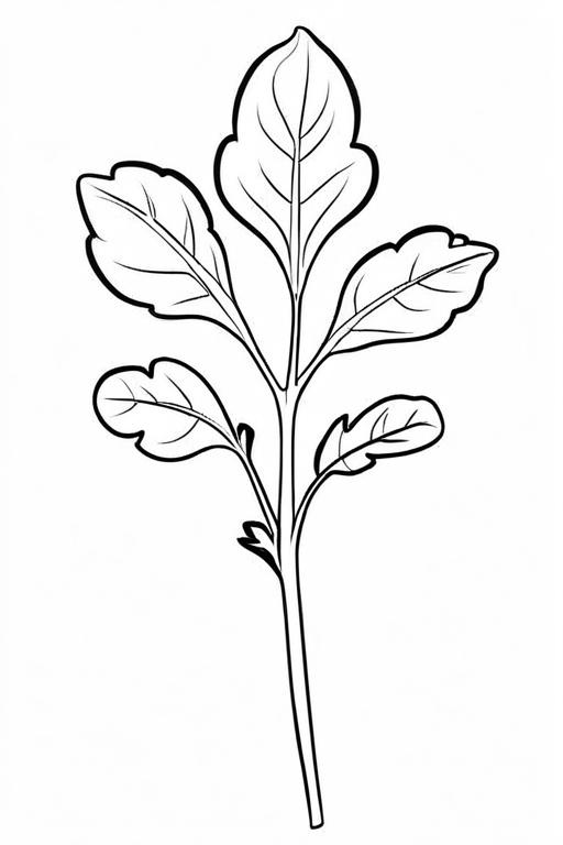 Arugula Coloring Page 32 for Kids