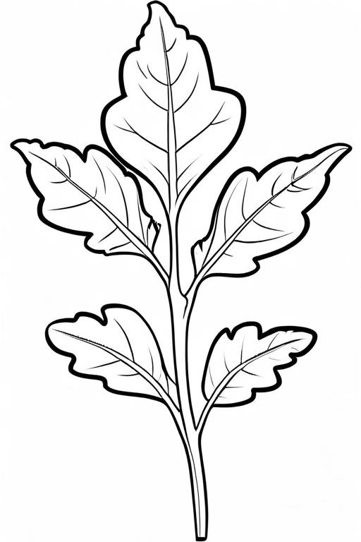 Arugula Coloring Page 33 for Kids