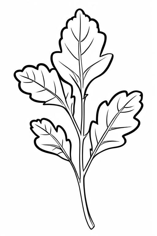 Arugula Coloring Page 4 for Kids