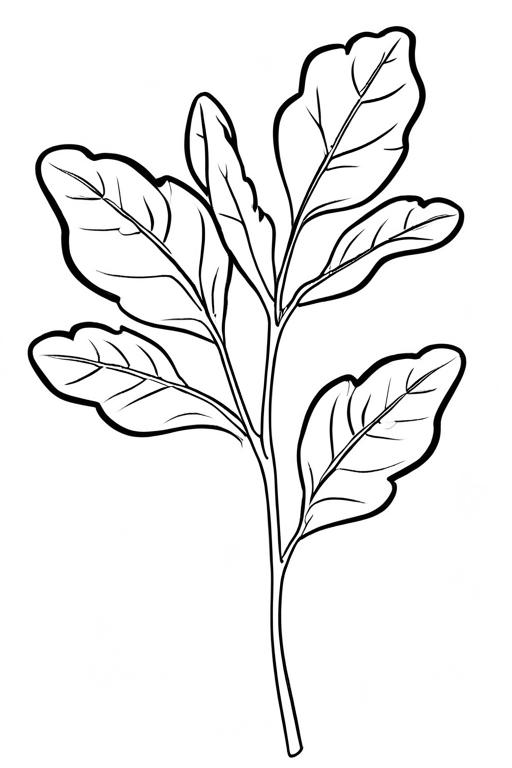 Arugula Coloring Page 5 for Kids