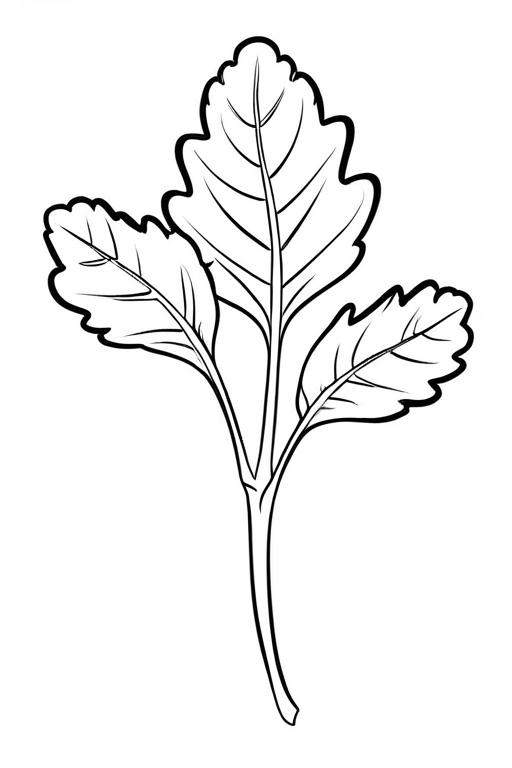 Arugula Coloring Page 6 for Kids