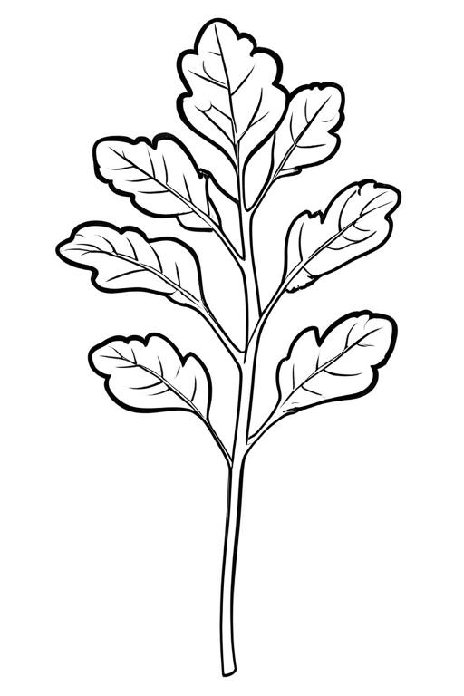 Arugula Coloring Page 7 for Kids