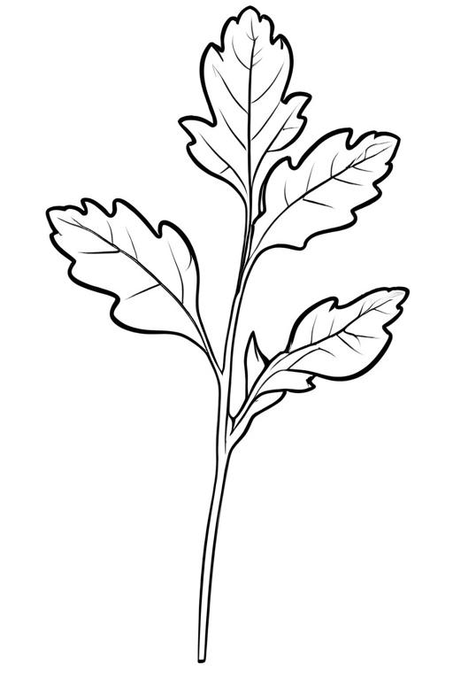 Arugula Coloring Page 8 for Kids