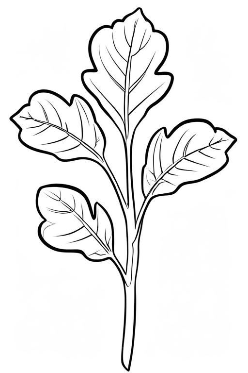 Arugula Coloring Page 9 for Kids