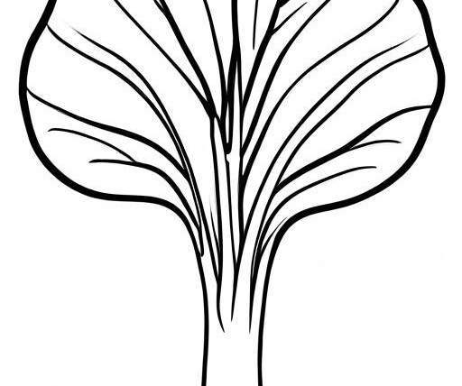 Bok Coloring Page 1 for Kids