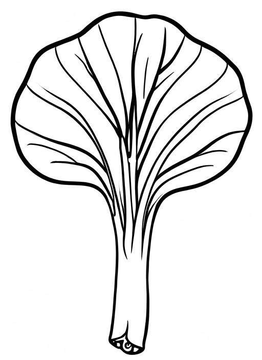 Bok Coloring Page 1 for Kids