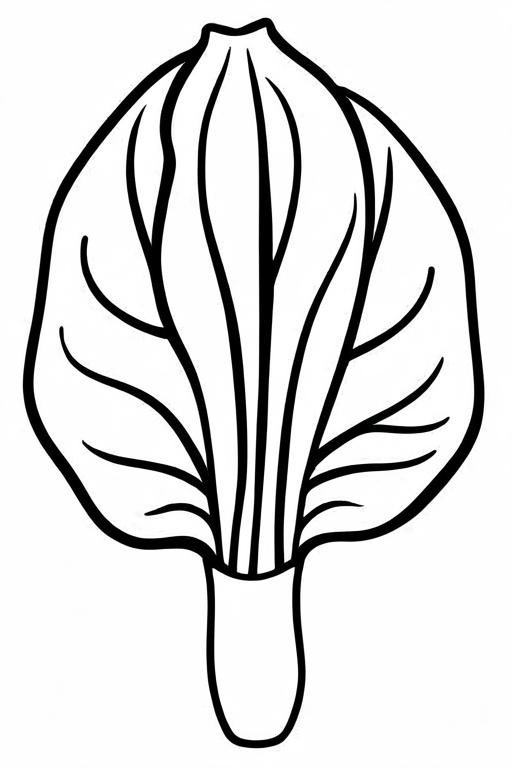 Bok Coloring Page 3 for Kids