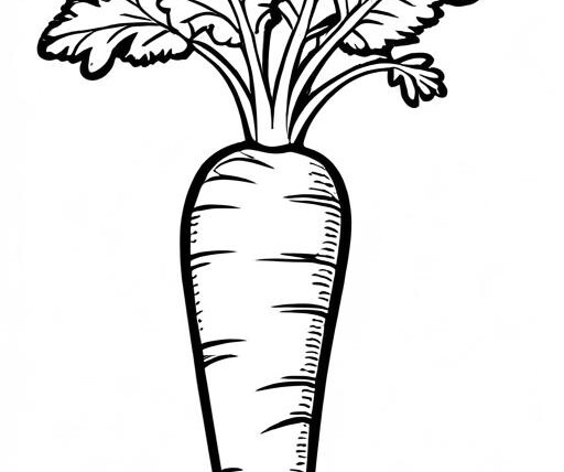 Carrot Coloring Page 1 for Kids