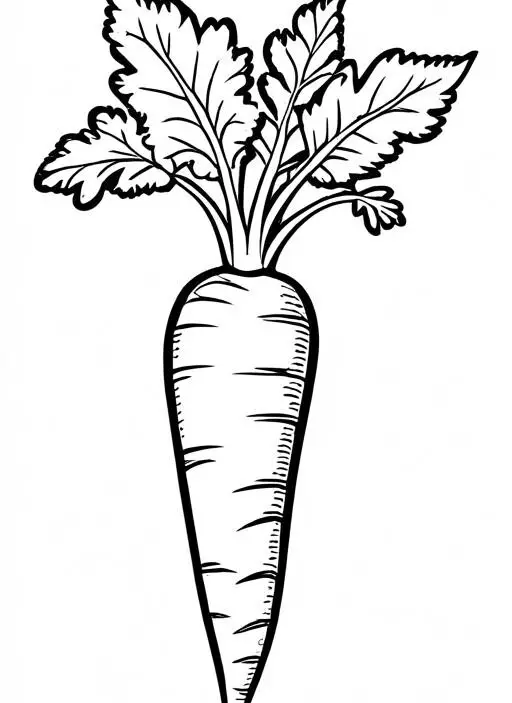 Carrot Coloring Page 1 for Kids