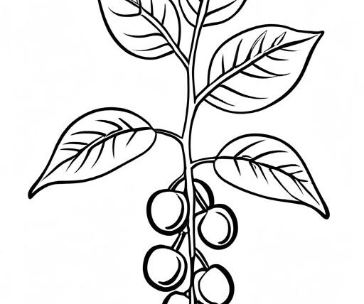 Chickpeas Coloring Page 1 for Kids