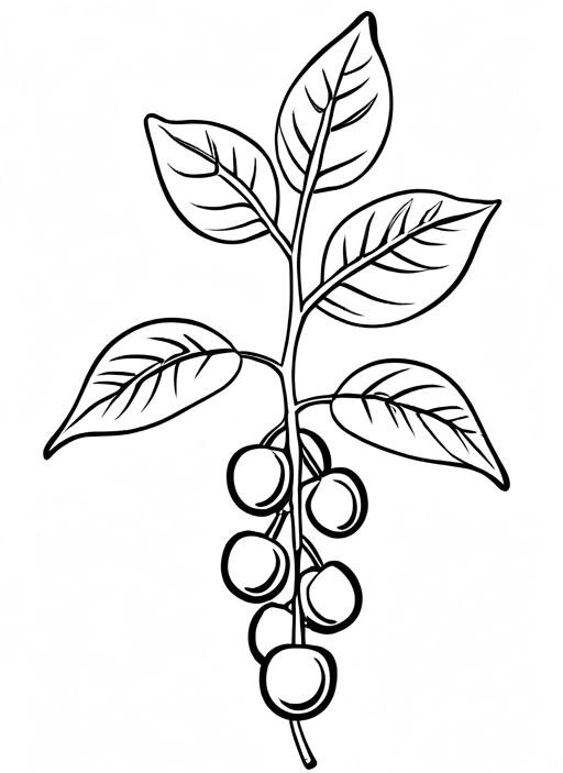 Chickpeas Coloring Page 1 for Kids