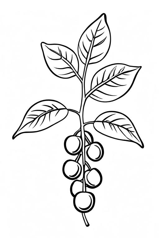 Chickpeas Coloring Page 1 for Kids