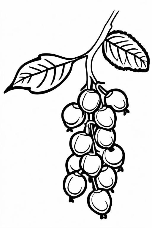 Chickpeas Coloring Page 5 for Kids