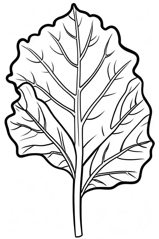 Collard Coloring Page 12 for Kids