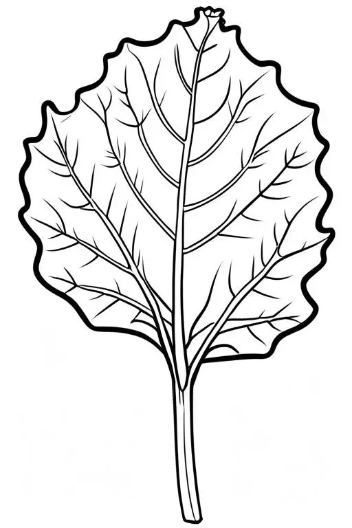 Collard Coloring Page 13 for Kids