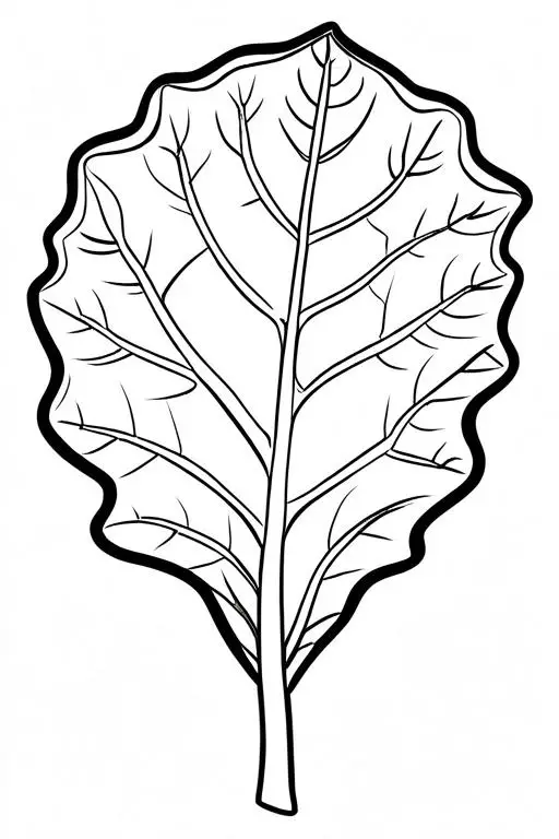 Collard Coloring Page 14 for Kids