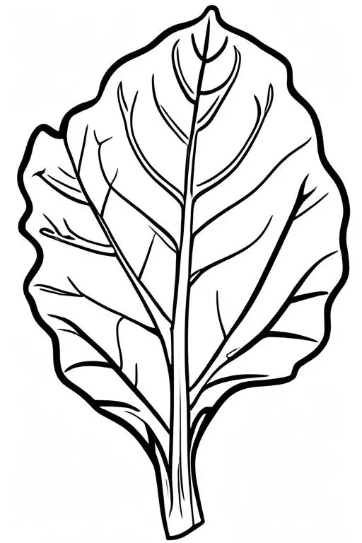 Collard Coloring Page 15 for Kids