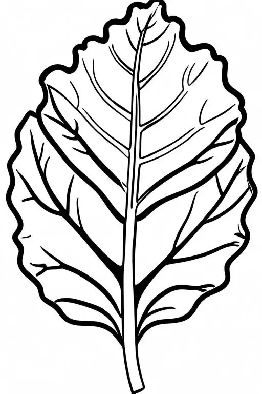 Collard Coloring Page 3 for Kids