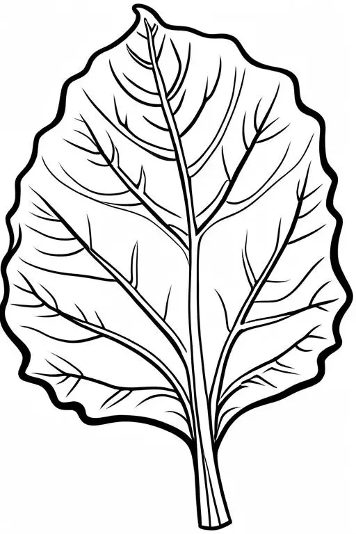 Collard Coloring Page 7 for Kids